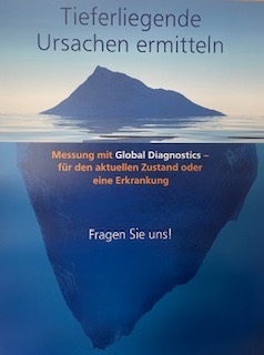 Global-Diagnostics-Bild